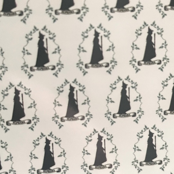 Wicked soft plush throw blanket with the witch Elphaba 50x70 in - Picture 1 of 4